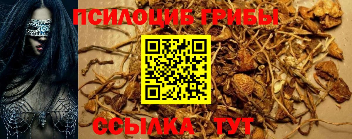 Галлюциногенные грибы GOLDEN TEACHER  Вход с VPN  Абинск 